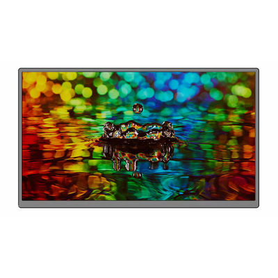 Monitor touch portatile da 15,6 pollici, guscio in plastica, 1920x1080 IPS